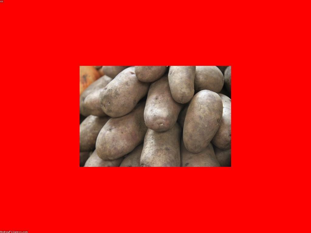 ការស្វែងយល់ក្នុងពិភពអាហារត្រី